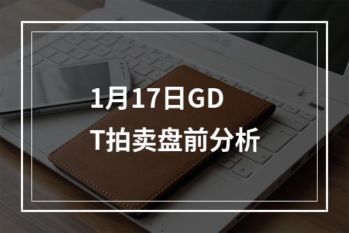 1月17日GDT拍卖盘前分析