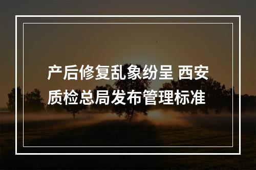 产后修复乱象纷呈 西安质检总局发布管理标准