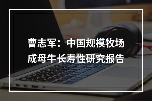 曹志军：中国规模牧场成母牛长寿性研究报告