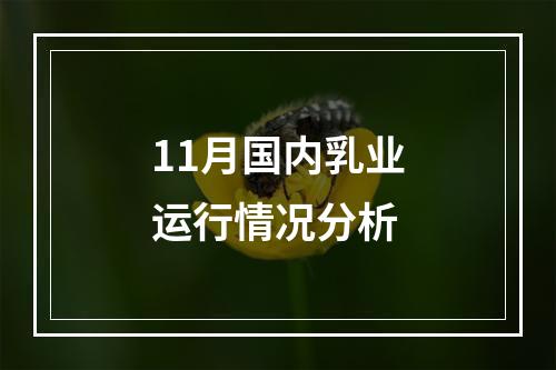 11月国内乳业运行情况分析