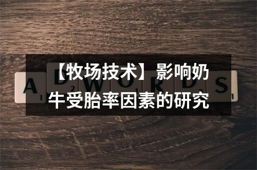 【牧场技术】影响奶牛受胎率因素的研究