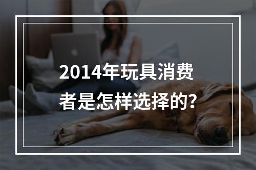 2014年玩具消费者是怎样选择的？