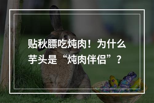 贴秋膘吃炖肉！为什么芋头是“炖肉伴侣”？