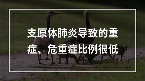 支原体肺炎导致的重症、危重症比例很低