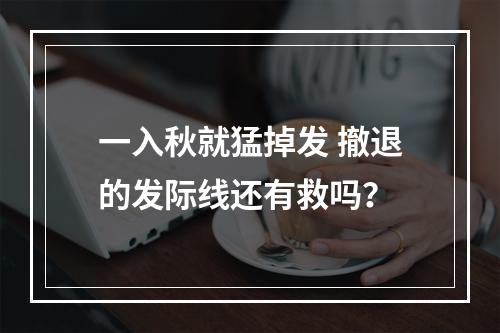 一入秋就猛掉发 撤退的发际线还有救吗？