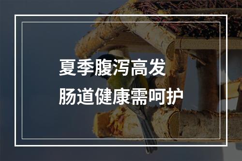 夏季腹泻高发 肠道健康需呵护