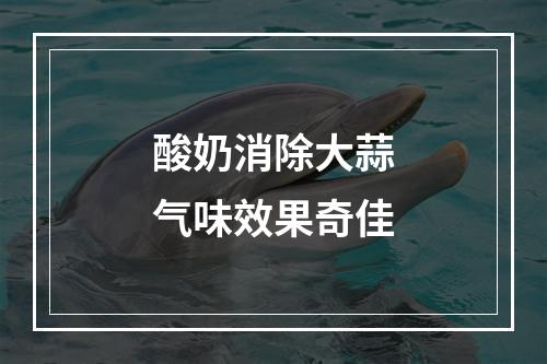 酸奶消除大蒜气味效果奇佳
