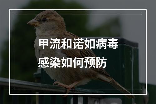 甲流和诺如病毒感染如何预防