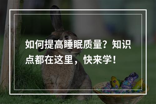 如何提高睡眠质量？知识点都在这里，快来学！