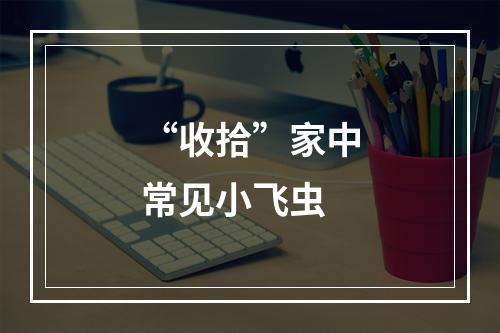 “收拾”家中常见小飞虫