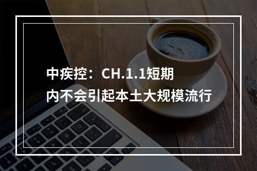 中疾控：CH.1.1短期内不会引起本土大规模流行