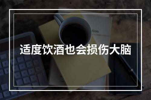 适度饮酒也会损伤大脑