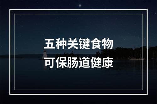 五种关键食物可保肠道健康