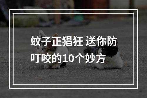 蚊子正猖狂 送你防叮咬的10个妙方
