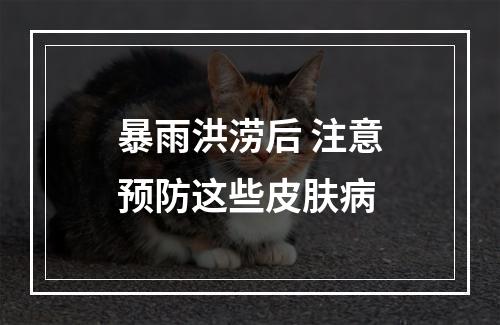 暴雨洪涝后 注意预防这些皮肤病