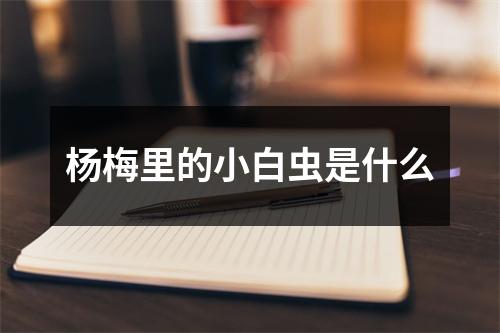 杨梅里的小白虫是什么