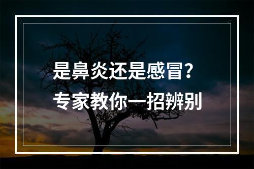 是鼻炎还是感冒？专家教你一招辨别