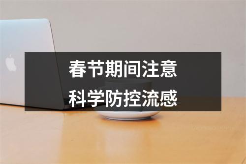春节期间注意科学防控流感