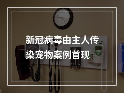 新冠病毒由主人传染宠物案例首现