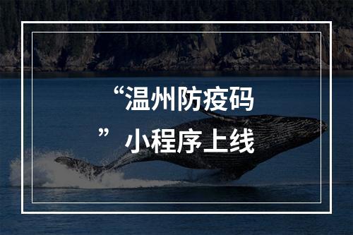 “温州防疫码”小程序上线