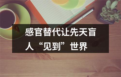 感官替代让先天盲人“见到”世界