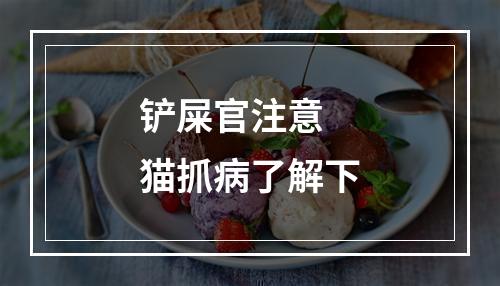 铲屎官注意 猫抓病了解下
