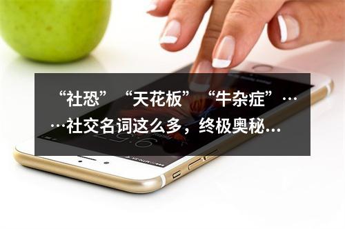 “社恐”“天花板”“牛杂症”……社交名词这么多，终极奥秘是什么