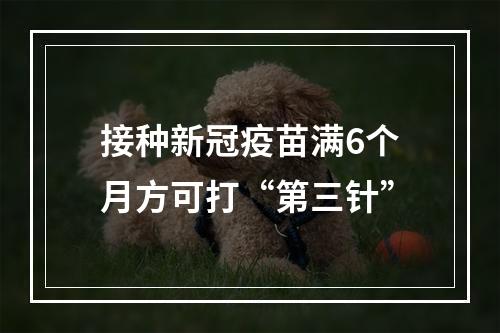 接种新冠疫苗满6个月方可打“第三针”