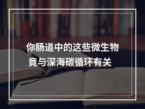 你肠道中的这些微生物 竟与深海碳循环有关