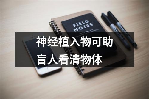 神经植入物可助盲人看清物体