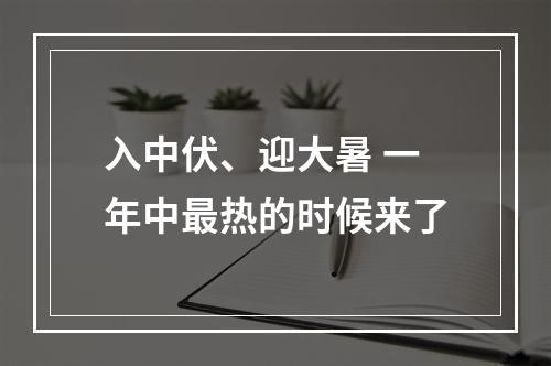 入中伏、迎大暑 一年中最热的时候来了