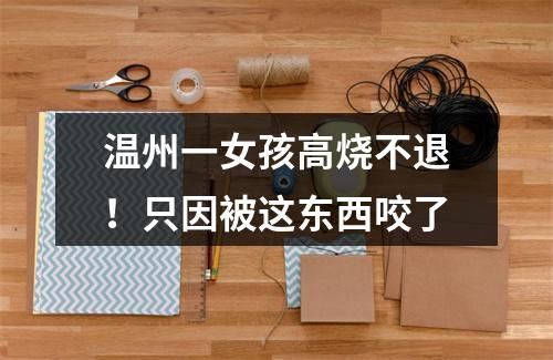 温州一女孩高烧不退！只因被这东西咬了