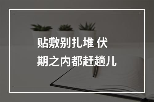 贴敷别扎堆 伏期之内都赶趟儿