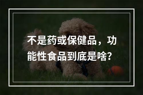 不是药或保健品，功能性食品到底是啥？
