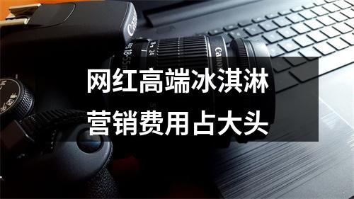 网红高端冰淇淋营销费用占大头
