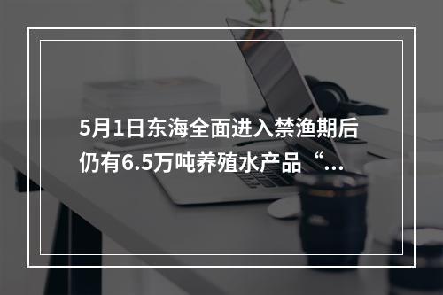 5月1日东海全面进入禁渔期后 仍有6.5万吨养殖水产品“游”上餐桌