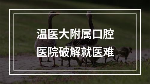 温医大附属口腔医院破解就医难
