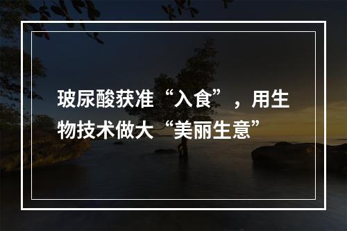 玻尿酸获准“入食”，用生物技术做大“美丽生意”