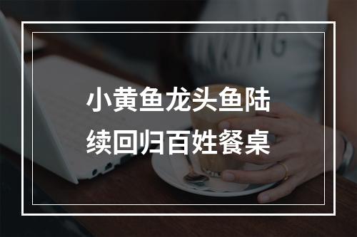 小黄鱼龙头鱼陆续回归百姓餐桌