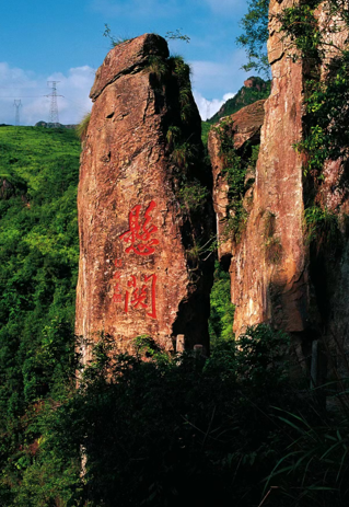这个博物馆叹为观“纸”东经纸艺，解锁纸上大文章
