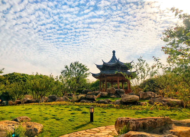 市委理论学习中心组举行专题学习研讨会
